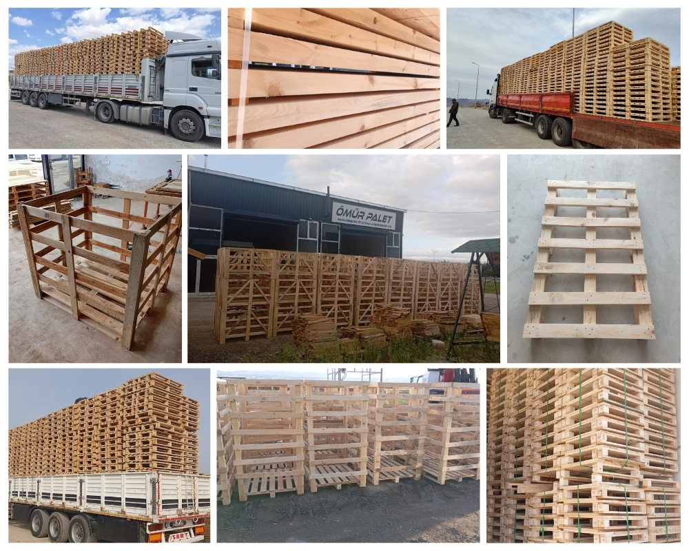 Eastbourne Wooden Pallets, Buy Wooden Pallets Wholesale